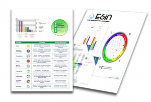 informes disc belbin web