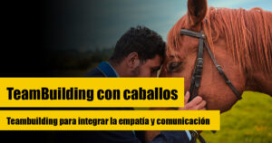 link trabajo equipo caballos