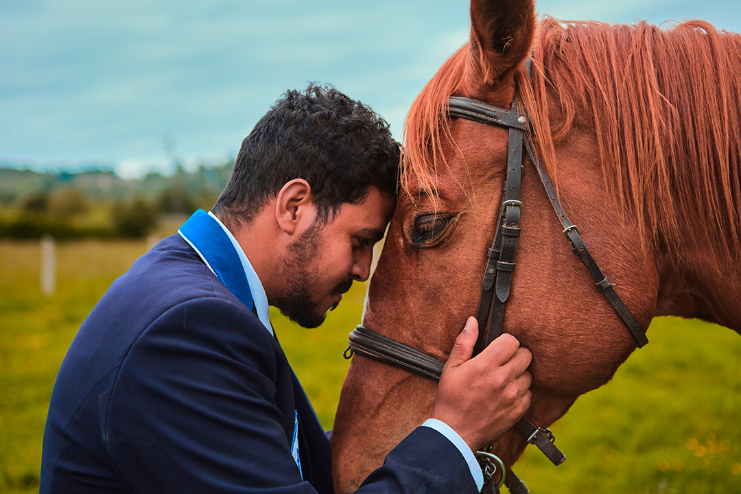 teambuilding caballos 